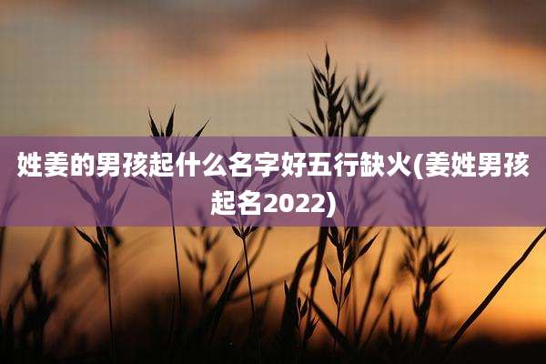 姓姜的男孩起什么名字好五行缺火(姜姓男孩起名2022)