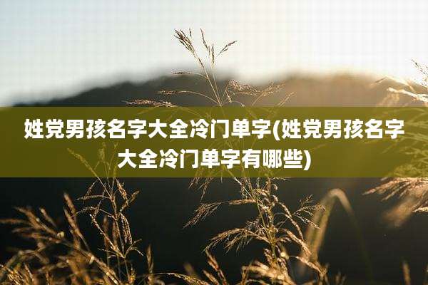 姓党男孩名字大全冷门单字(姓党男孩名字大全冷门单字有哪些)