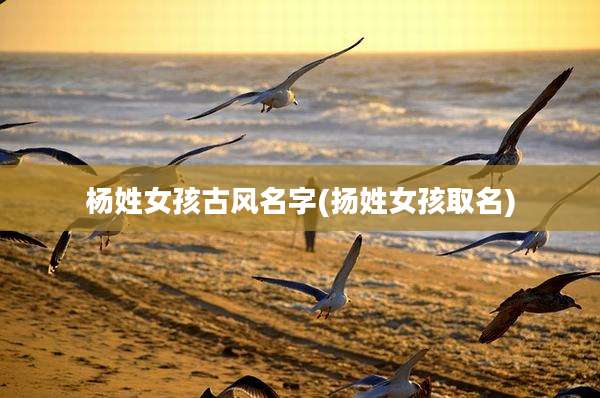杨姓女孩古风名字(扬姓女孩取名)