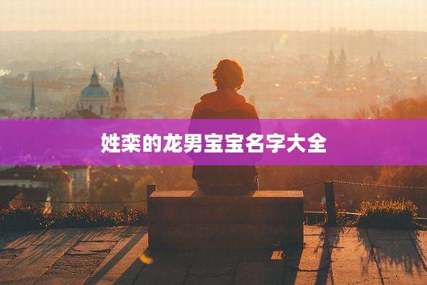 姓栾的龙男宝宝名字大全