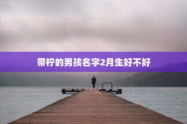 带柠的男孩名字2月生好不好