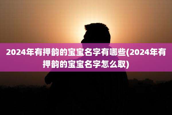 2024年有押韵的宝宝名字有哪些(2024年有押韵的宝宝名字怎么取)