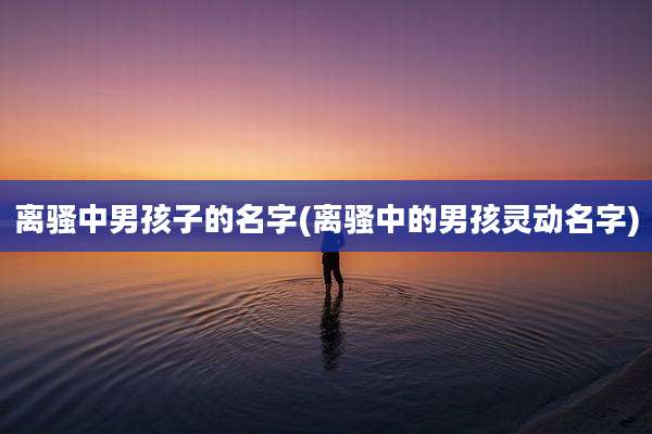 离骚中男孩子的名字(离骚中的男孩灵动名字)