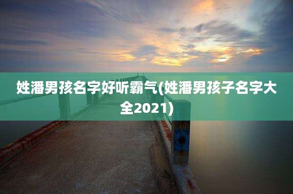 姓潘男孩名字好听霸气(姓潘男孩子名字大全2021)