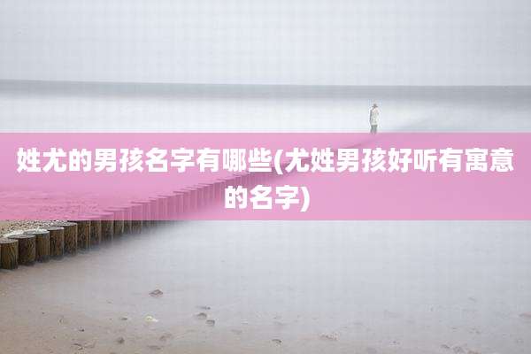 姓尤的男孩名字有哪些(尤姓男孩好听有寓意的名字)