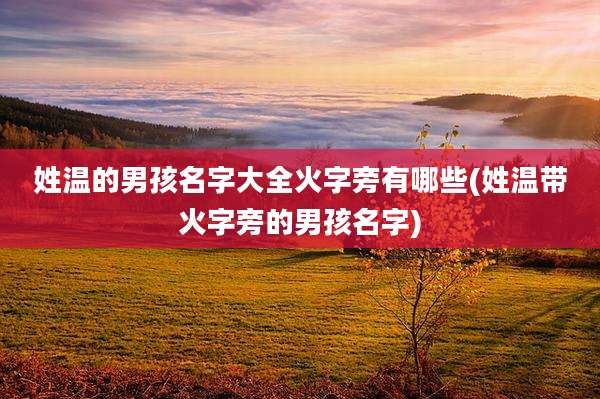 姓温的男孩名字大全火字旁有哪些(姓温带火字旁的男孩名字)