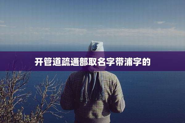 开管道疏通部取名字带浦字的