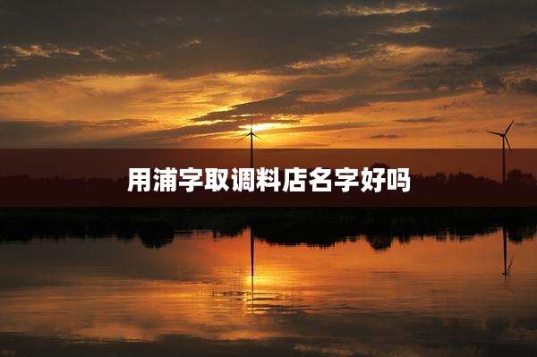 用浦字取调料店名字好吗