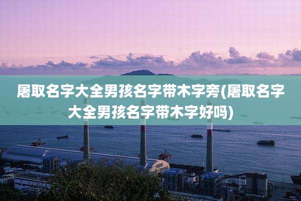 屠取名字大全男孩名字带木字旁(屠取名字大全男孩名字带木字好吗)