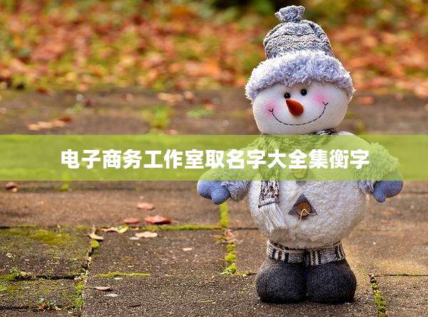 电子商务工作室取名字大全集衡字