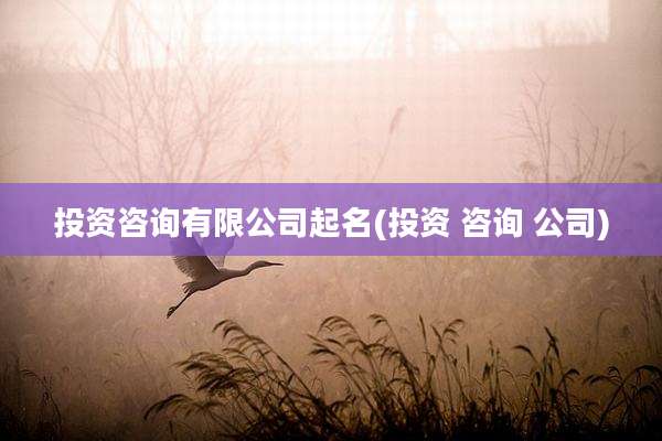 投资咨询有限公司起名(投资 咨询 公司)