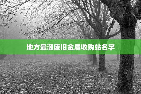 地方最潮废旧金属收购站名字