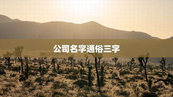 公司名字通俗三字