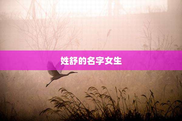 姓舒的名字女生