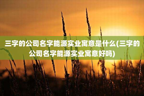 三字的公司名字能源实业寓意是什么(三字的公司名字能源实业寓意好吗)