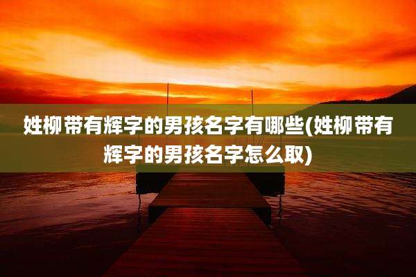 姓柳带有辉字的男孩名字有哪些(姓柳带有辉字的男孩名字怎么取)