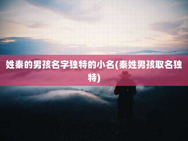 姓秦的男孩名字独特的小名(秦姓男孩取名独特)