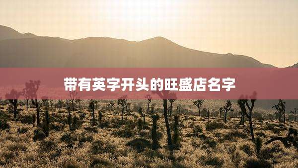 带有英字开头的旺盛店名字