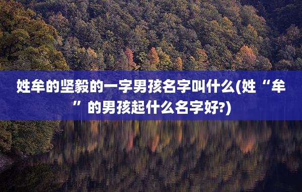 姓牟的坚毅的一字男孩名字叫什么(姓“牟”的男孩起什么名字好?)