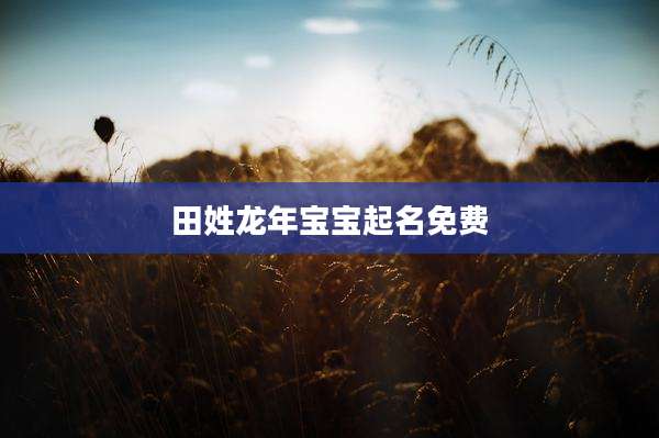 田姓龙年宝宝起名免费
