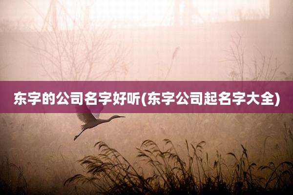 东字的公司名字好听(东字公司起名字大全)