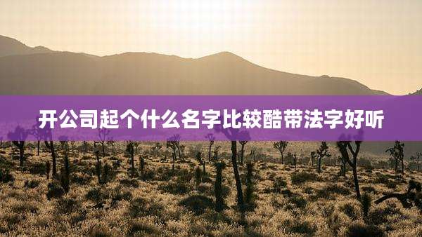开公司起个什么名字比较酷带法字好听