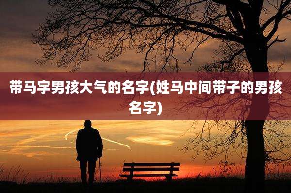 带马字男孩大气的名字(姓马中间带子的男孩名字)