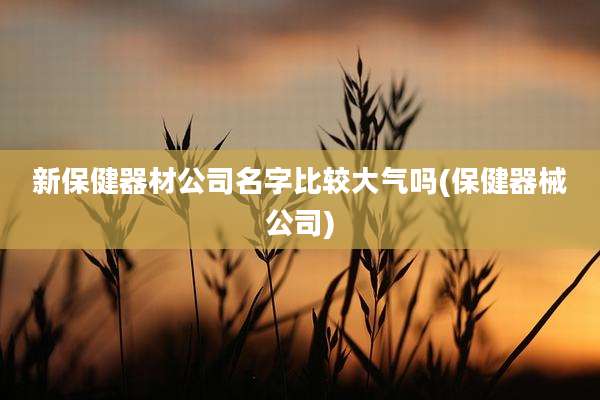新保健器材公司名字比较大气吗(保健器械公司)