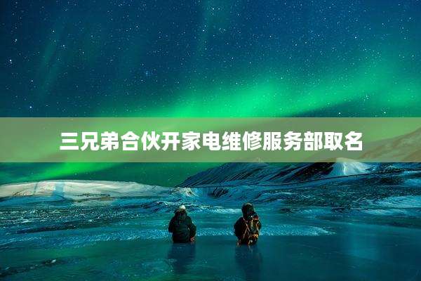 三兄弟合伙开家电维修服务部取名