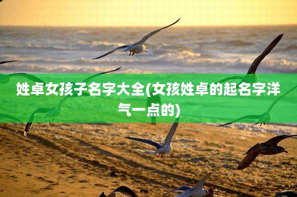 姓卓女孩子名字大全(女孩姓卓的起名字洋气一点的)