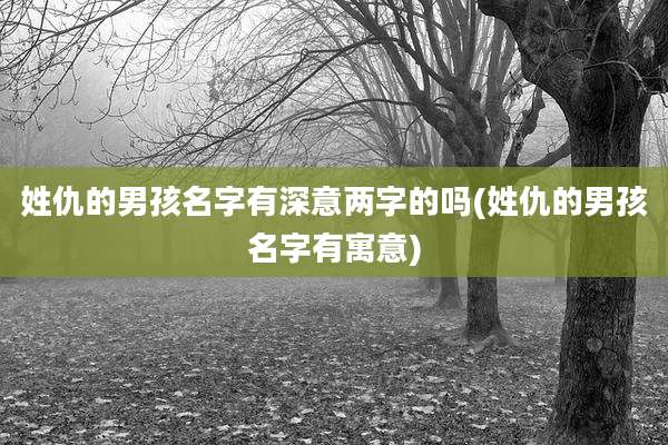 姓仇的男孩名字有深意两字的吗(姓仇的男孩名字有寓意)
