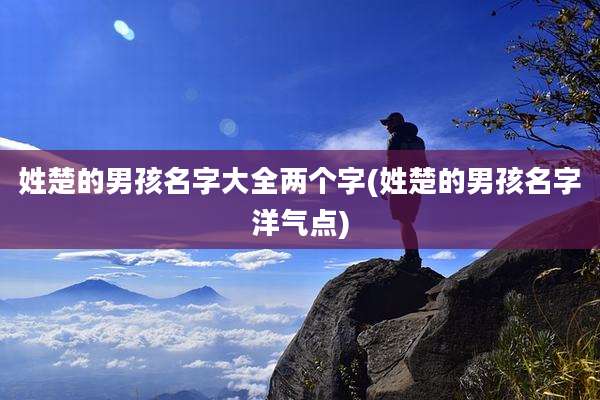 姓楚的男孩名字大全两个字(姓楚的男孩名字洋气点)