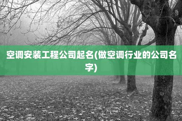 空调安装工程公司起名(做空调行业的公司名字)