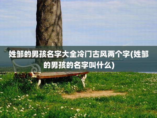 姓邹的男孩名字大全冷门古风两个字(姓邹的男孩的名字叫什么)