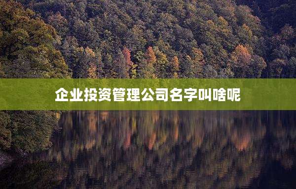 企业投资管理公司名字叫啥呢