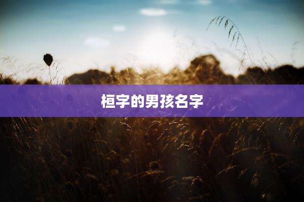 桓字的男孩名字