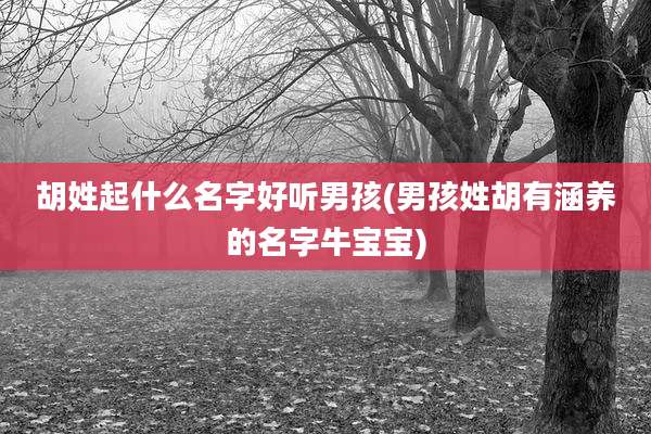 胡姓起什么名字好听男孩(男孩姓胡有涵养的名字牛宝宝)