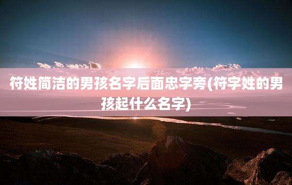 符姓简洁的男孩名字后面忠字旁(符字姓的男孩起什么名字)