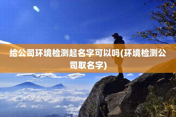 给公司环境检测起名字可以吗(环境检测公司取名字)
