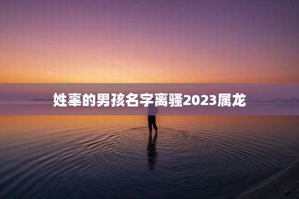 姓辜的男孩名字离骚2023属龙