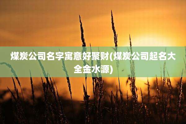 煤炭公司名字寓意好聚财(煤炭公司起名大全金水源)