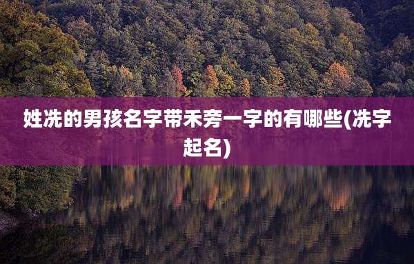 姓冼的男孩名字带禾旁一字的有哪些(冼字起名)