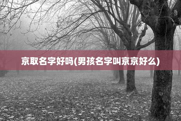京取名字好吗(男孩名字叫京京好么)