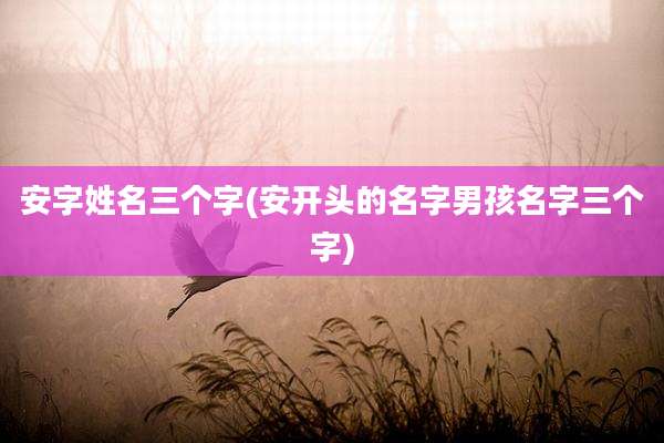 安字姓名三个字(安开头的名字男孩名字三个字)