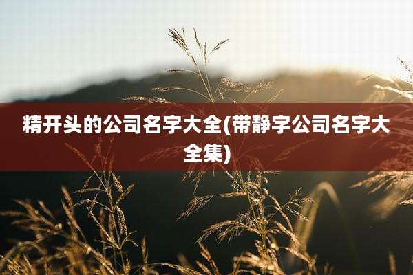 精开头的公司名字大全(带静字公司名字大全集)