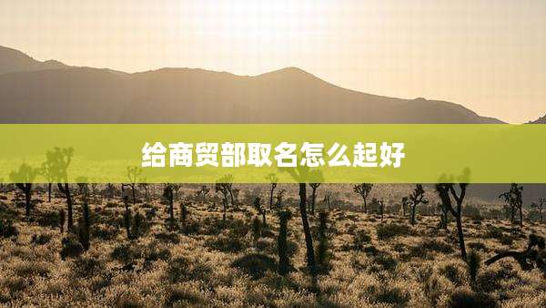 给商贸部取名怎么起好
