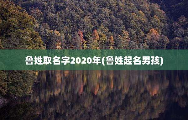 鲁姓取名字2020年(鲁姓起名男孩)