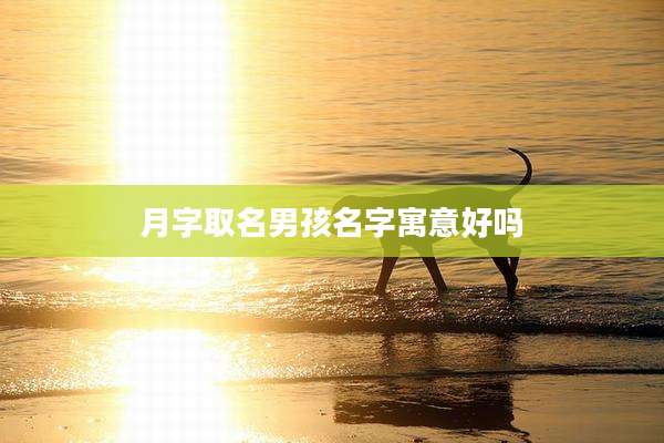 月字取名男孩名字寓意好吗