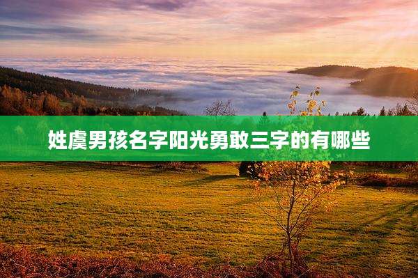 姓虞男孩名字阳光勇敢三字的有哪些
