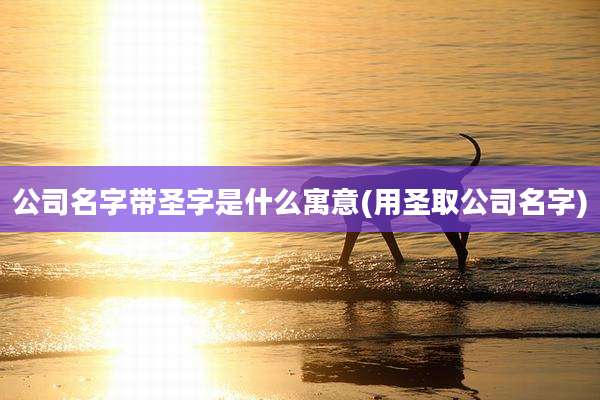 公司名字带圣字是什么寓意(用圣取公司名字)